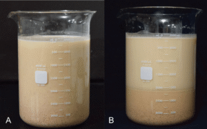 sữa hạt bị tách nước