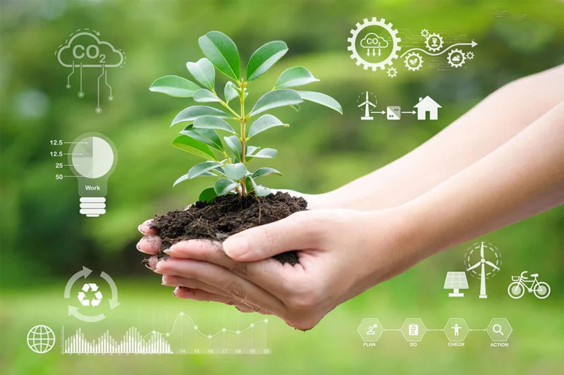 Sống Xanh Từ Bữa Ăn – Sữa Hạt Và Xu Hướng Tiêu Dùng