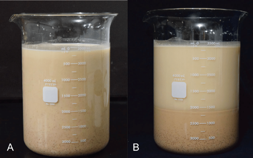 Cách Nấu Sữa Hạt Không Bị Tách Nước – Giữ Trọn Dinh Dưỡng Và Hương Vị