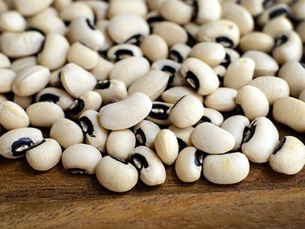 Sữa Đậu Trắng Hạt Điều: Lựa Chọn Vàng Cho Sức Khỏe