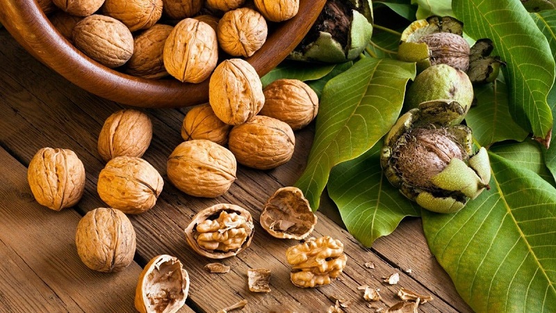 Những Điều Chưa Ai Nói Về Hạt Óc Chó