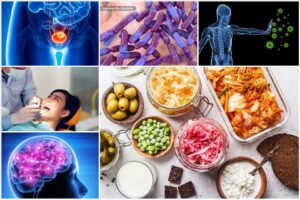 Lợi Ích Của Thực Phẩm Lên Men