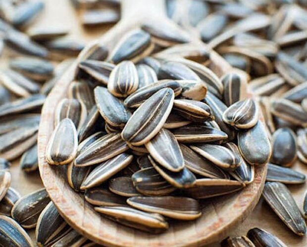 hạt hướng dương