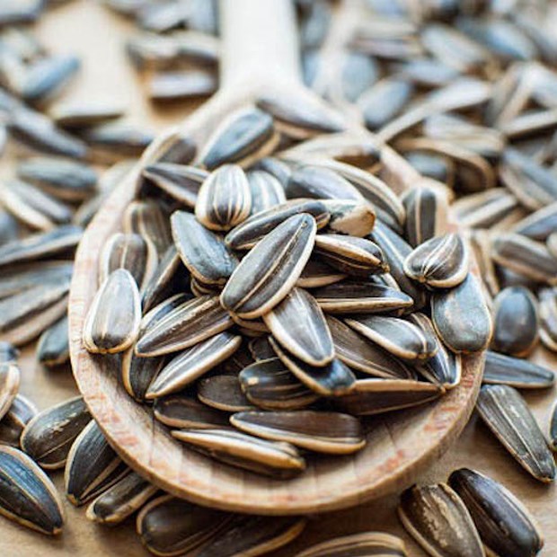 Lợi Ích Kép Khi Kết Hợp Sữa Hạt Hướng Dương Và Mè Đen