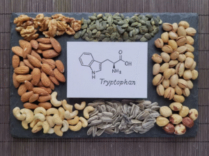 thực phẩm chứa tryptophan