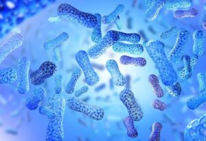 Bổ sung lợi khuẩn tự nhiên