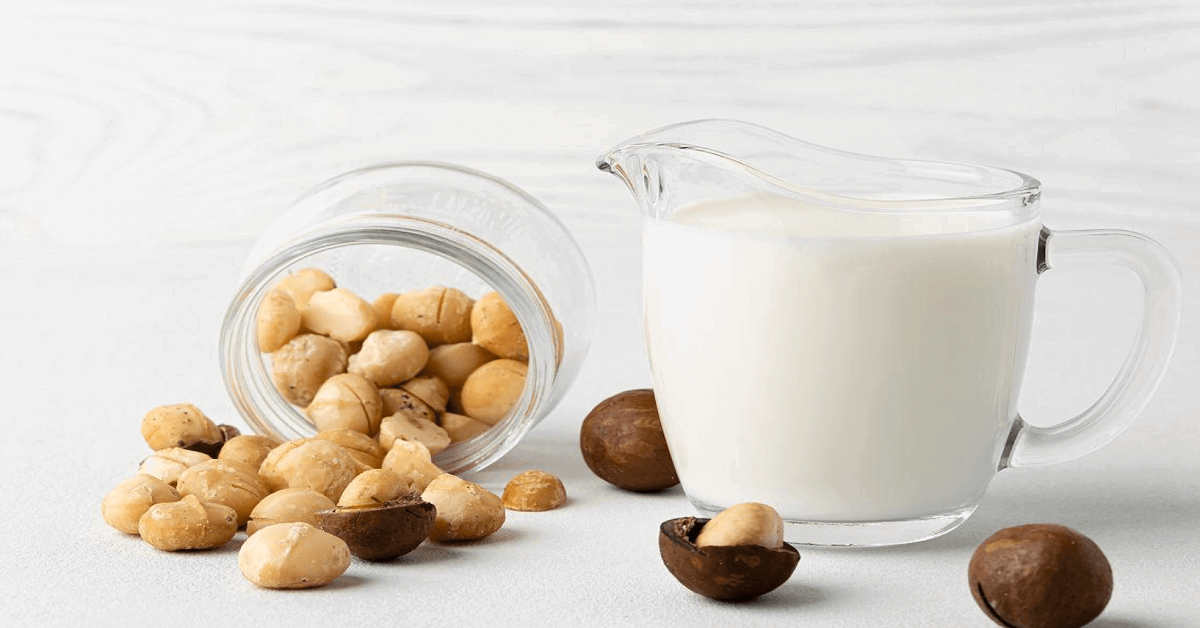 Sữa Hạt Macca Thơm Ngon Đầy Dinh Dưỡng