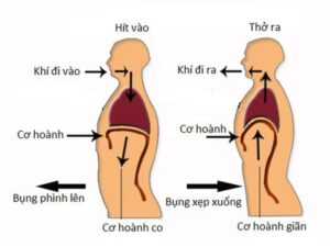 Kỹ Thuật 4–4–6 (Thở sâu có kiểm soát)