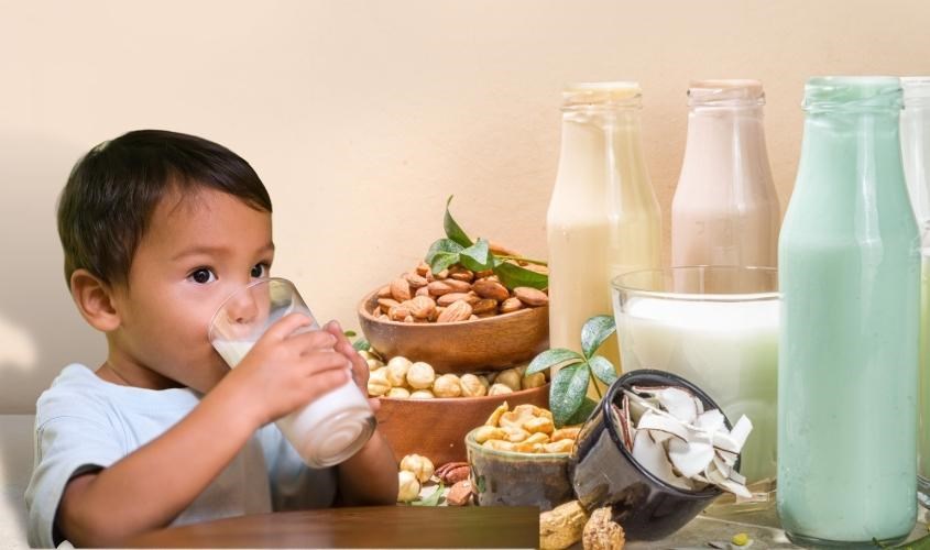 Các Loại Sữa Từ Hạt Cho Bé: Lựa Chọn Tốt Nhất Cho Sự Phát Triển Toàn Diện