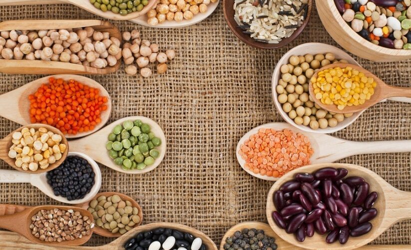 chất xơ trong hạt