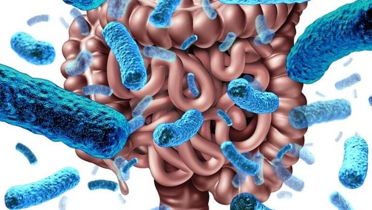 Hệ Vi Sinh Đường Ruột