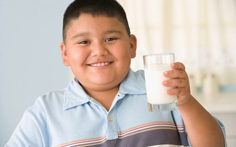 người béo phì có nên uống sữa hạt mỗi ngày