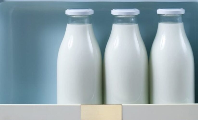 Cách bảo quản sữa hạt đúng cách khi không có tủ lạnh