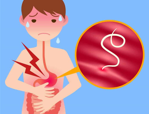 Sau Khi Tẩy Giun, Nên Ăn Gì Để Phục Hồi Đường Ruột?