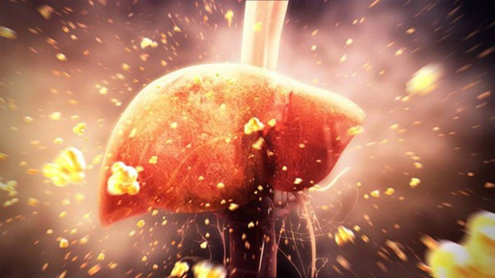 Men gan cao kiêng gì? Những điều cần lưu ý