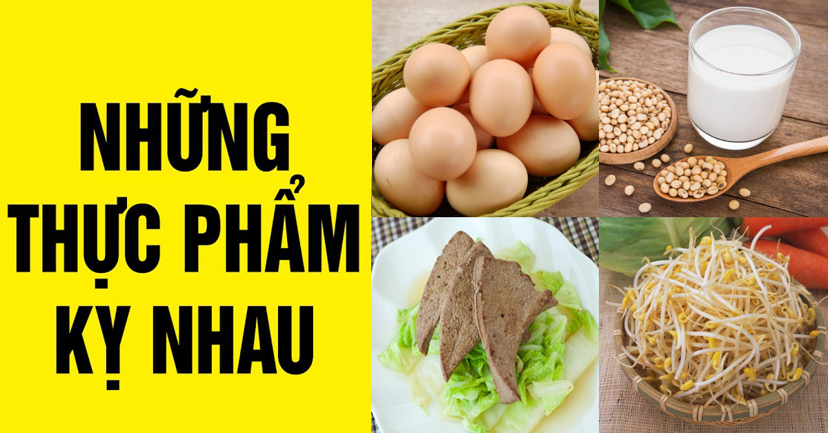 Những Thực Phẩm Kỵ Nhau – Cảnh Báo Từ Sức Khỏe Hệ Tiêu Hóa