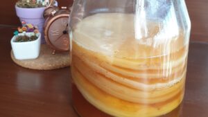 kombucha