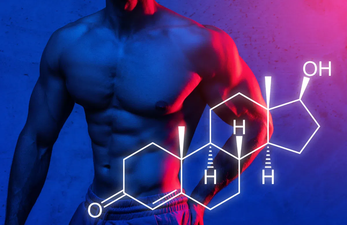 Tác Động Của Sữa Hạt Đến Hormone Estrogen