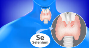 selen và tuyến giáp
