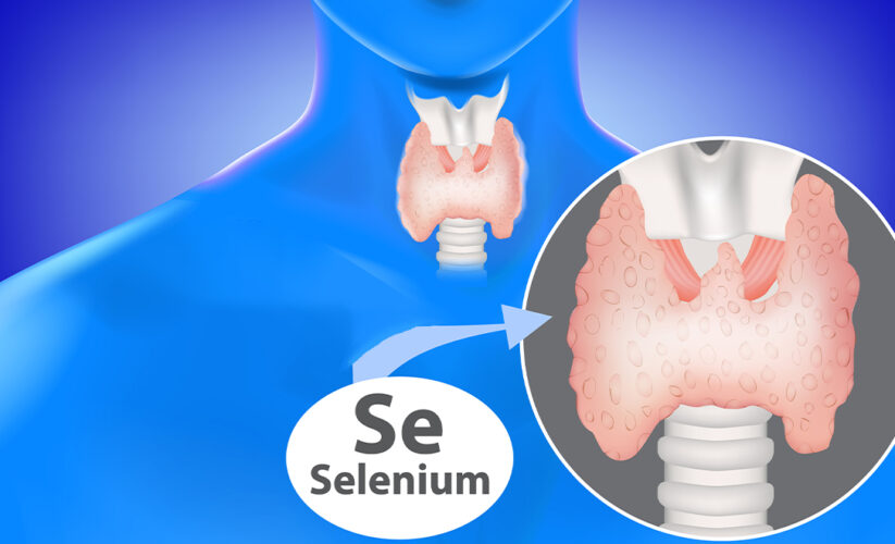 selen và tuyến giáp