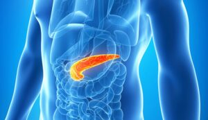 vai tro cua tuyen tuy