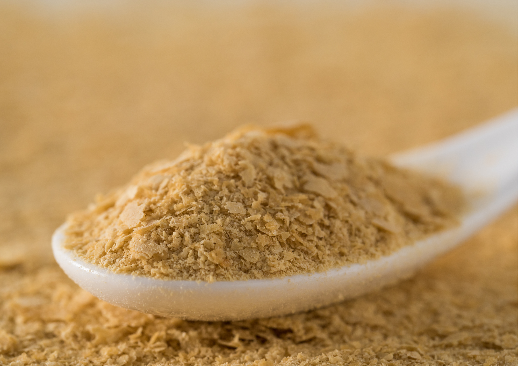 Cách Sử Dụng Men Dinh Dưỡng Để Tạo Vị Phô Mai Thuần Chay