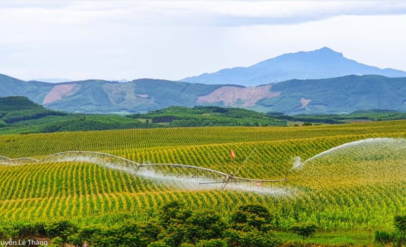 “Nông Nghiệp Tái Tạo”: Chữa Lành Đất Để Chữa Lành Người