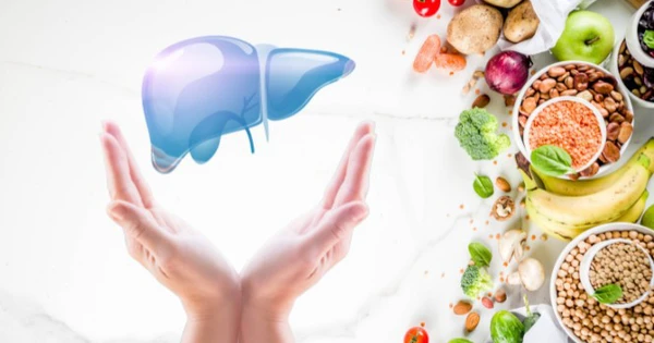 Dinh Dưỡng Tốt Cho Gan: “Thực Đơn Vàng” Bảo Vệ Lá Gan