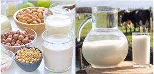sữa bò với sữa hạt