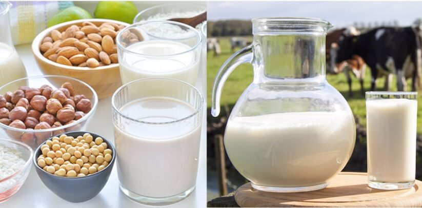 sữa bò với sữa hạt