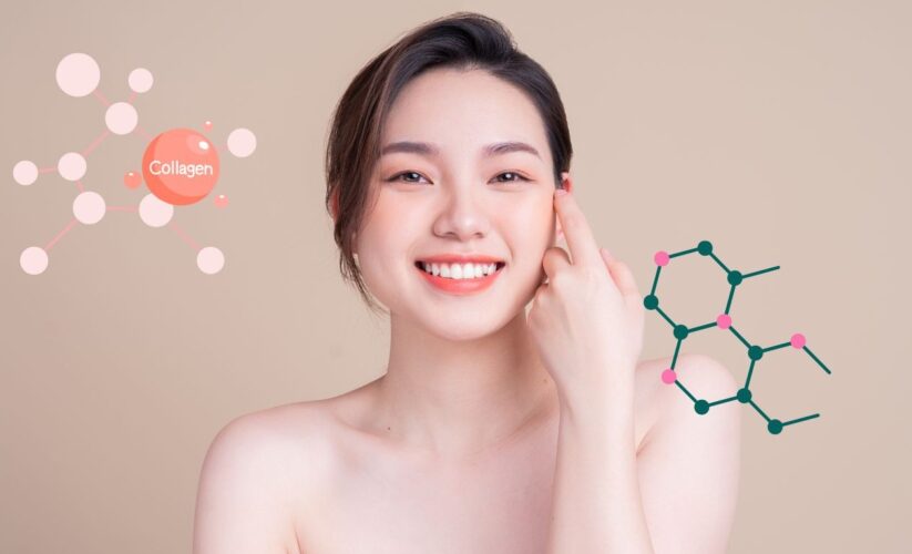 collagen và làn da