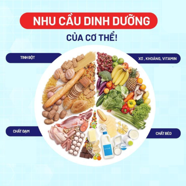 Thực Đơn 1 Ngày Của “Chuyên Gia Dinh Dưỡng”: Ngon, Bổ, Rẻ
