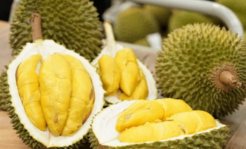 Ăn Sầu Riêng Có Béo Không? Phân Tích Giá Trị Dinh Dưỡng