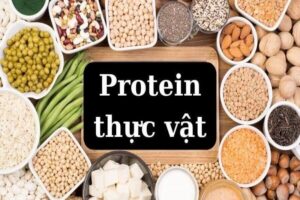 Giảm cân bằng protein thực vật