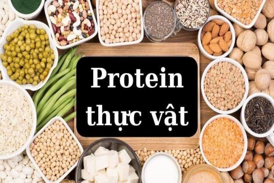 Protein Thực Vật Giảm Cân: Chiến Lược Dinh Dưỡng Bền Vững