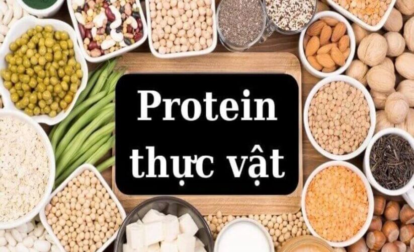 protein-thuc-vat