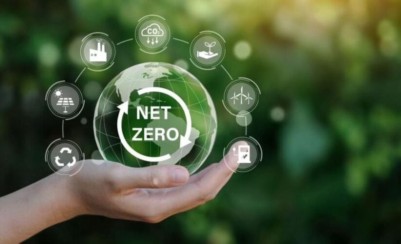 Xu Hướng “Zero Dairy” Và Cách Sữa Hạt Dẫn Đầu Trào Lưu