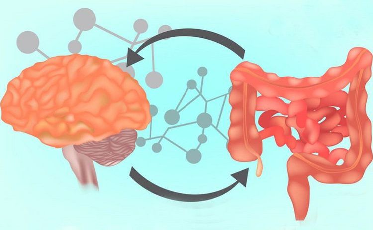 Cơ Thể Bạn Có Đang “Chậm Tiêu” Vì Căng Thẳng?
