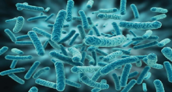 Dấu Hiệu Cơ Thể Bạn Đang Thiếu Enzyme Tự Nhiên