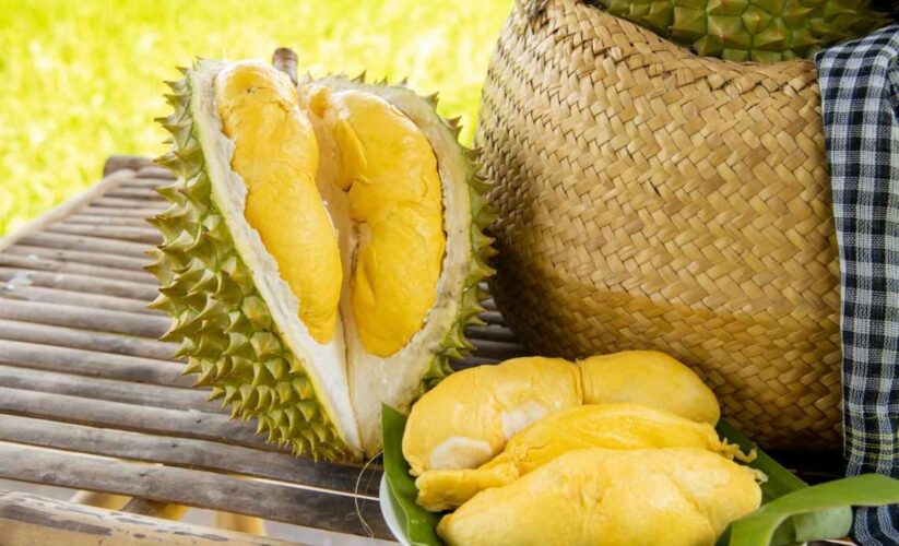 tac-hai-tiem-an-khi-an-sau-rieng-khong-dung-cach