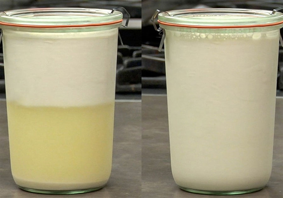 Sữa Hạt Bị Tách Nước Hoặc Hư: Nguyên Nhân và 5 Giải Pháp