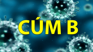 cum-b
